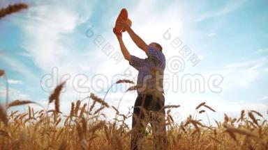 <strong>老农</strong>夫剪影面包师拿着一个金色的面包和面包在成熟的麦田里对着蓝天。慢动作